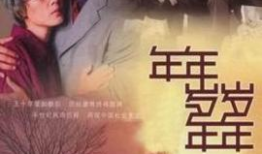 年年岁岁年年 电视剧,岁月流转中的情感纠葛