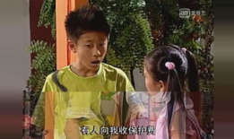 电视剧家有儿女第三部,青春成长记